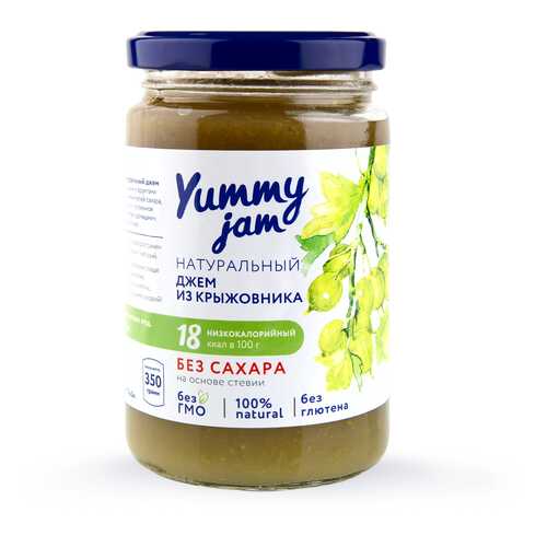 Джем Yummy jam из крыжовника без сахара 350 г в Дикси